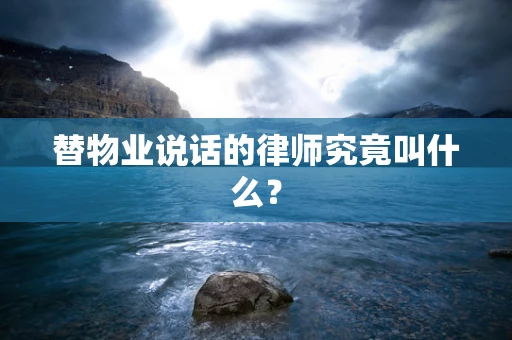替物业说话的律师究竟叫什么？