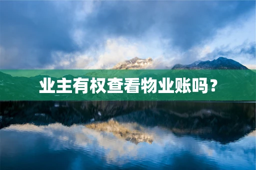 业主有权查看物业账吗？