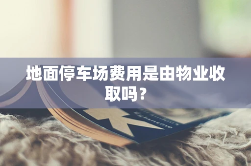 地面停车场费用是由物业收取吗？