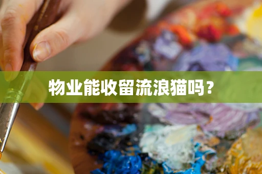 物业能收留流浪猫吗？