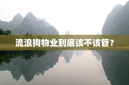 流浪狗物业到底该不该管？