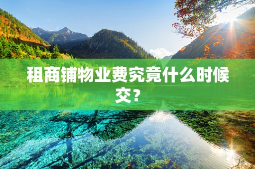 租商铺物业费究竟什么时候交？
