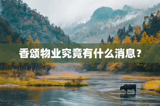 香颂物业究竟有什么消息？