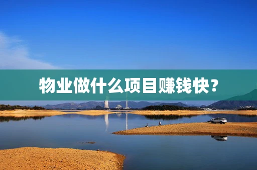 物业做什么项目赚钱快？
