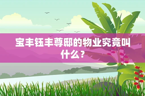 宝丰钰丰尊邸的物业究竟叫什么？
