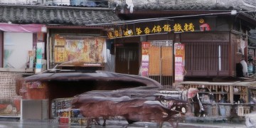 鸿德园是由什么物业公司管理的呢？